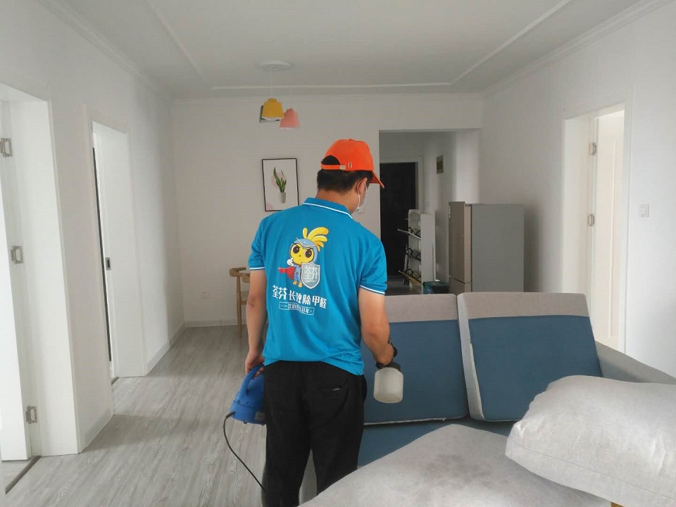 客廳沙發(fā)布藝全方位噴涂 客廳沙發(fā)布藝全方位噴涂