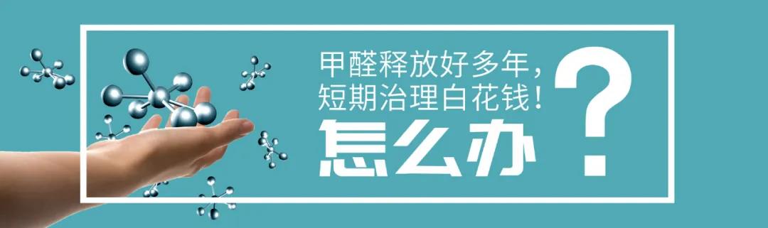 荃芬長效除甲醛 荃芬長效除甲醛